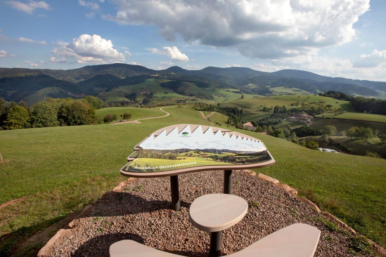 Ferienwohnung mit Komfort Oberharmersbach Exterior foto