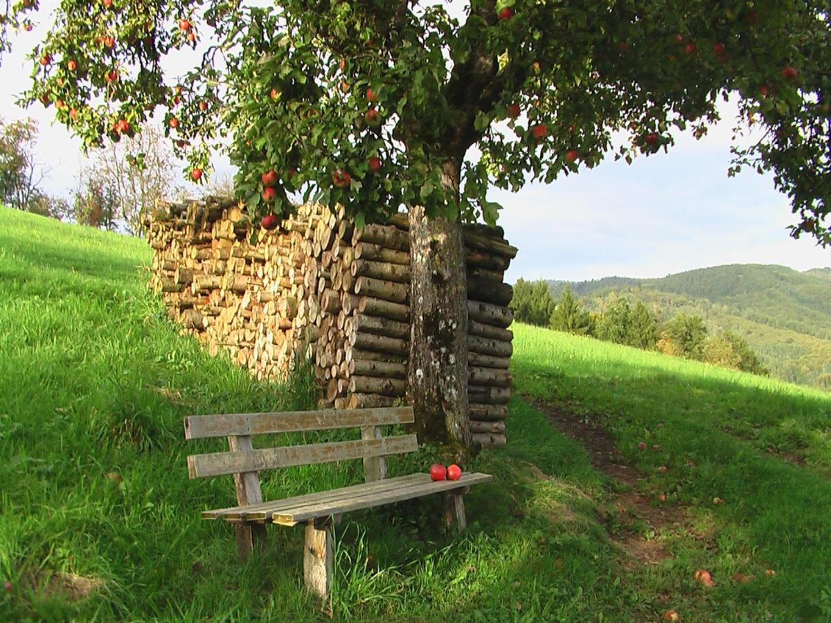 Ferienwohnung mit Komfort Oberharmersbach Exterior foto